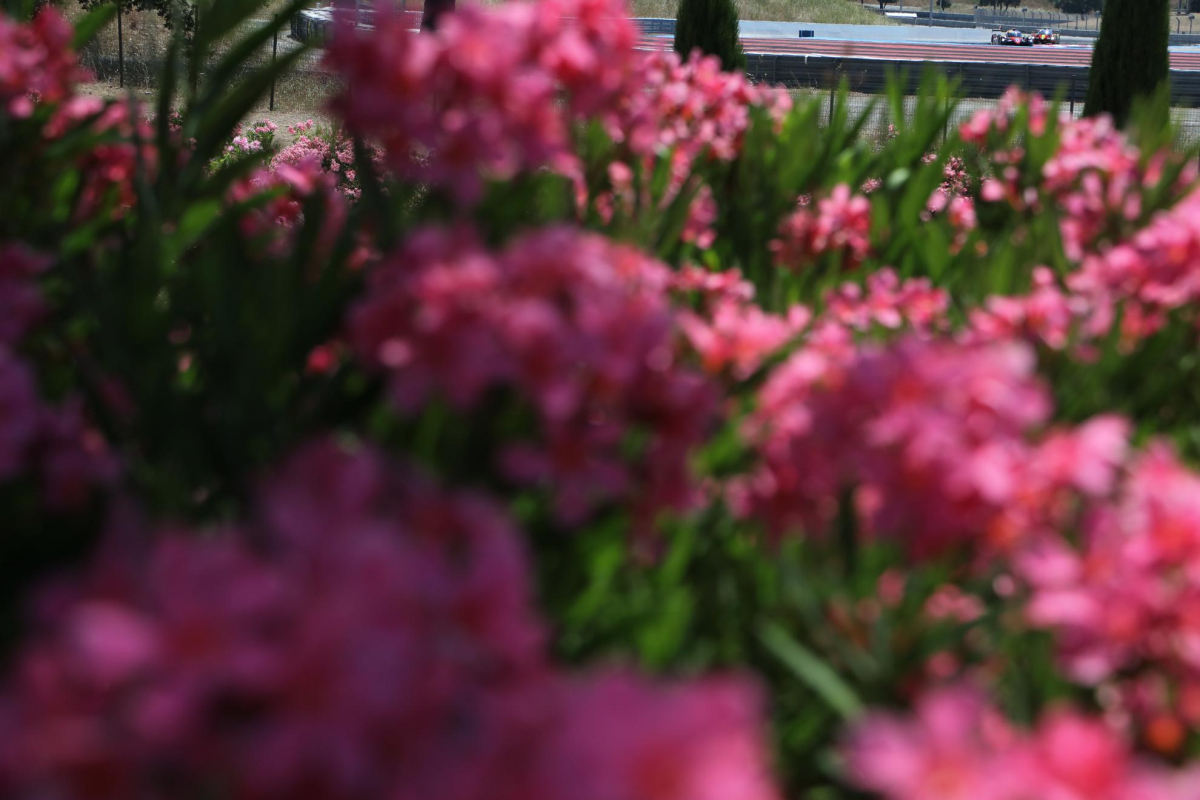 Racing Experience gears up for second Michelin Le Mans Cup campaign